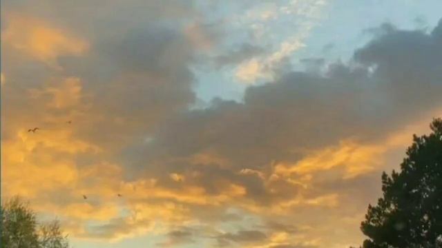 Рассказы на татарском языке | Җимерелгән бәхет | # 20