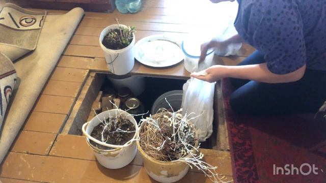 Одна в деревне/ Какой он, мой деревенский быт/ смотреть онлайн