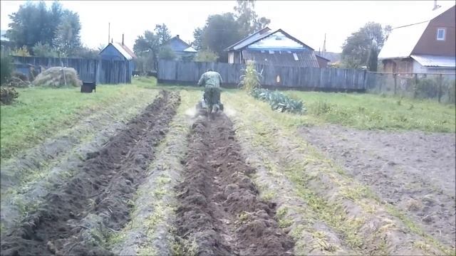 Копка картошки мотоблоком смотреть онлайн