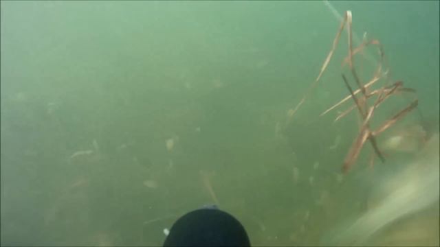 Подводная Охота в Ахтубе.часть 2 смотреть онлайн