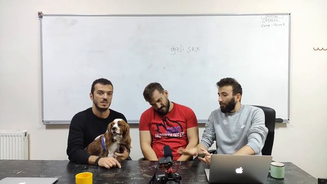 Saadet Zinciri (Ponzi) Nedir? смотреть онлайн