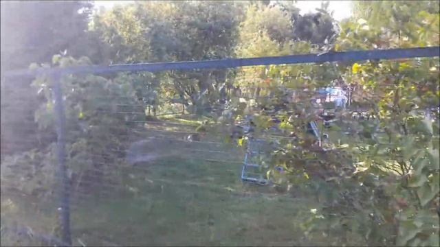 ????VLOG: обустройство дачи/экономим и тратим с умом/свое хозяйство.трудолюбие очень важно! смотреть онлайн