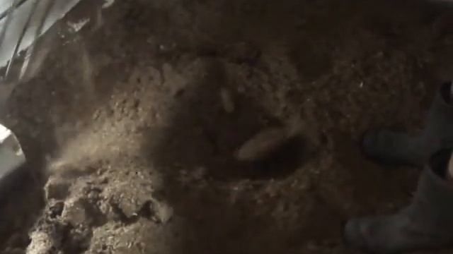 Ферментационная подстилка для свиней смотреть онлайн