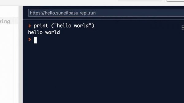 Your first repl.it python page