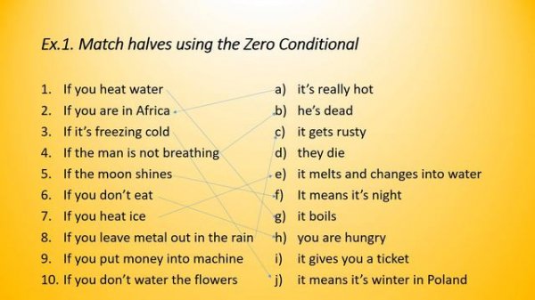 conditionals exercises type zero first