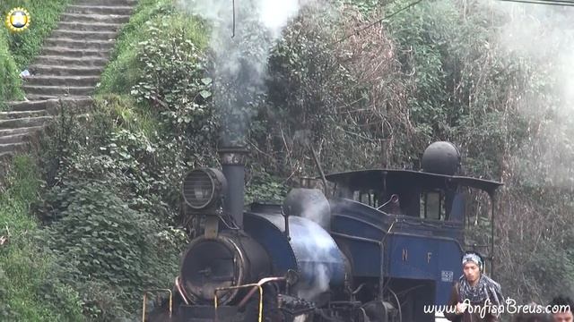 Индия. Дарджилинг. Darjeeling_parovoz. смотреть онлайн
