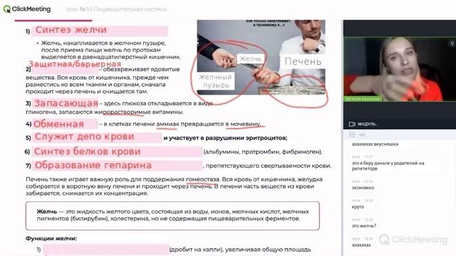Печень. Функции печени | Анатомия ЕГЭ. Биология ЕГЭ 2023. Бесплатные конспекты “АНАТОМИЯ”?? смотреть онлайн