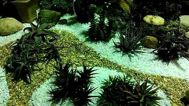 Новый антураж в теплице Петра Лапшина смотреть онлайн