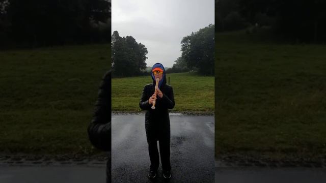 Recorder songs. Flute music. Have you ever seen the rain.Creedence Clearwater Revival. Instrumental смотреть онлайн