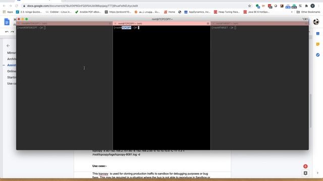 Mirroring Application Traffic to Sandbox смотреть онлайн