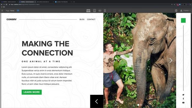 Building A Website Header in Webflow | Animal Conservation UI | WebDev For You смотреть онлайн