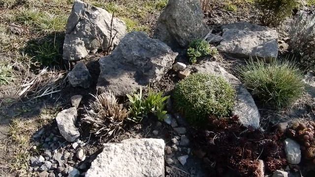 На даче. Юкка. Мускари. Компост. смотреть онлайн