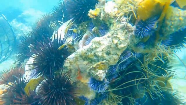 ?Музыка ангелов ?Музыка для исцеления всех болей тела, души и духа, океаны? смотреть онлайн