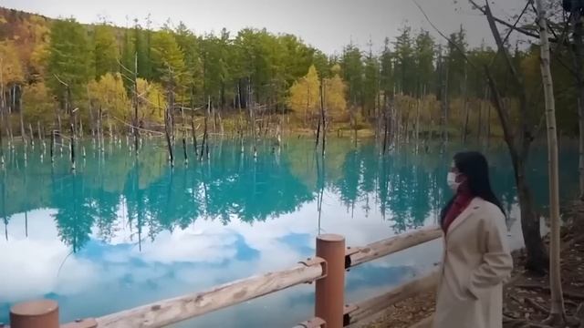 Если бы Это не Сняли на Камеру, Никто бы не Поверил смотреть онлайн