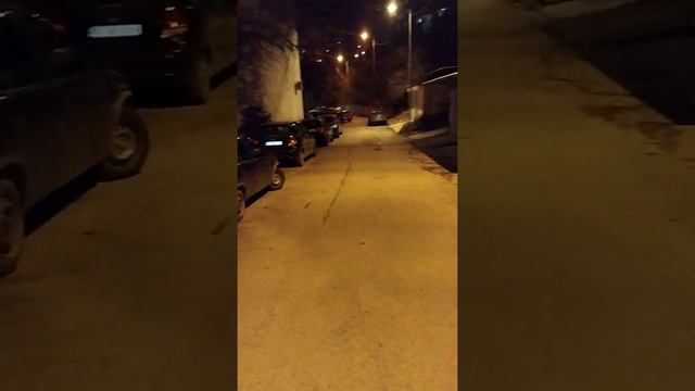 One and a half year old Jack Russell смотреть онлайн