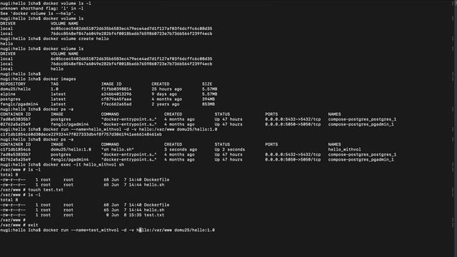 #5 Docker - Menggunakan Volume dan Bind Mount смотреть онлайн