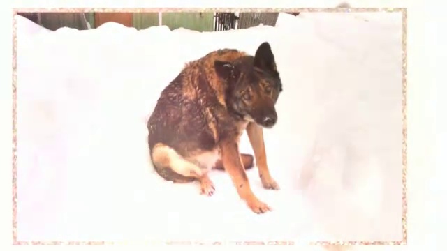 Пенистое шампанское, мерцающий. Видео из фото. смотреть онлайн