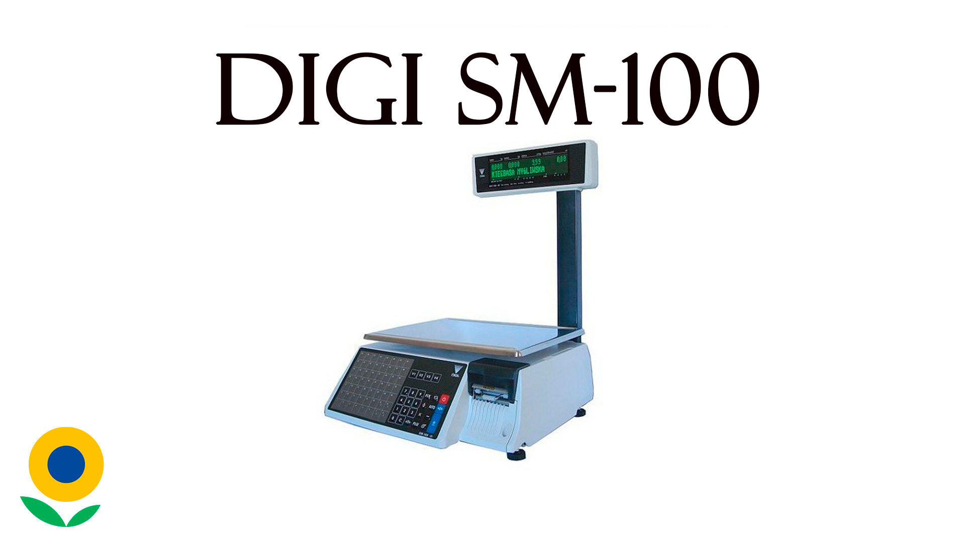 DIGI SM-100 смотреть онлайн