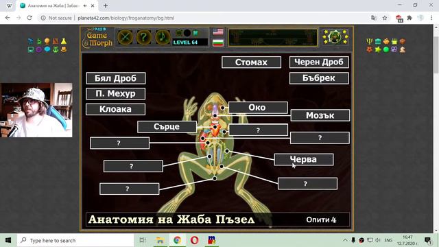 Анатомия на Жаба - Забавна Образователна Игра по Биология