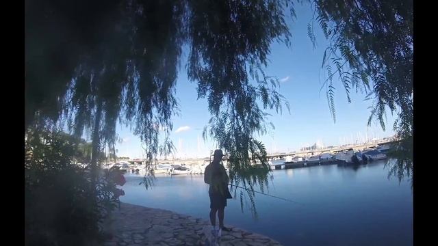 Рыбалка в Пальма-де-Майорка смотреть онлайн