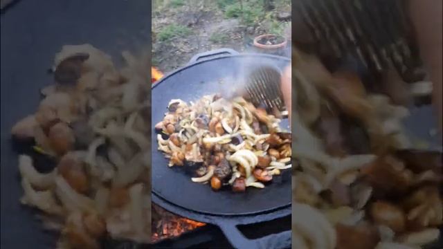 Перепелки на садже от Тофика