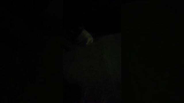 НАПАДЕНИЕ ЛЕТУЧЕЙ МЫШИ смотреть онлайн