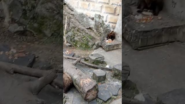 31.12.19 Чехия. Крумлов. Замок. 9 смотреть онлайн