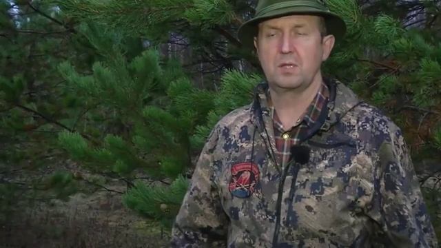 Охота на тетерева на току: Как найти ток, построить шалаш, подманить тетерева смотреть онлайн