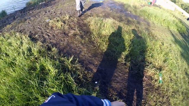 Рыба Верная