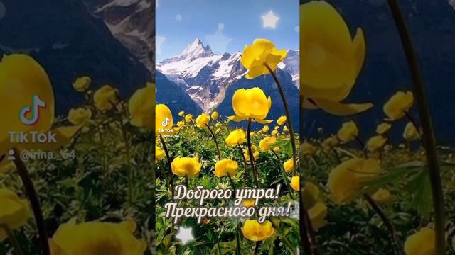 Сборник "Доброго утра! Отличного дня!" смотреть онлайн