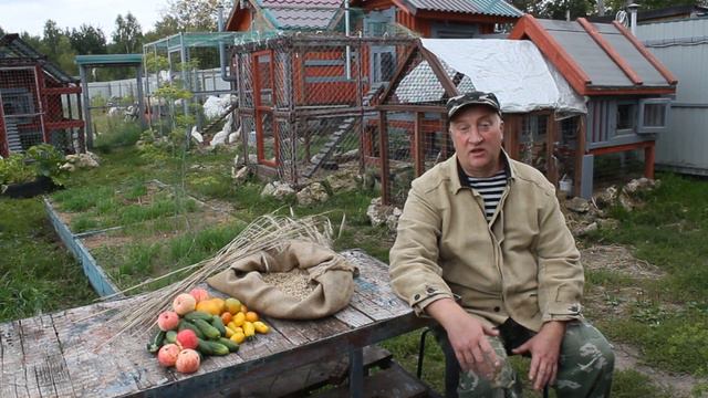 ОСТОРОЖНО Овсяная диета для кур несушек. смотреть онлайн