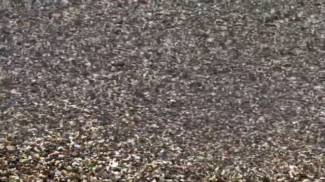 Да, День Ильи у нас удался 🤪🌊 смотреть онлайн