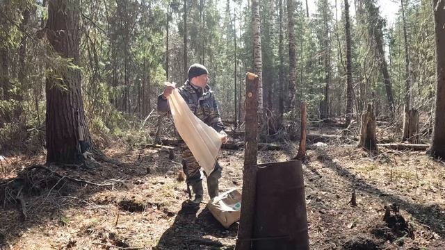Охота на медведя с вышки на приваде! #охотанамедведя смотреть онлайн