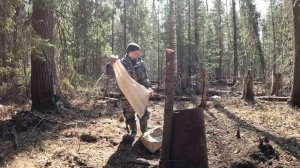 Охота на медведя с вышки на приваде! #охотанамедведя