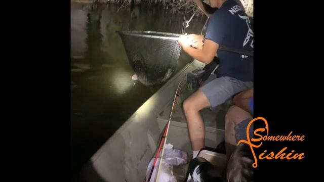 How I Set My Limb Lines On My Local Small Rivers смотреть онлайн