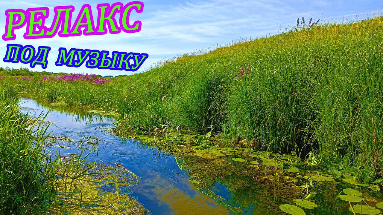 Релакс под музыку! Летние красоты природы России смотреть онлайн
