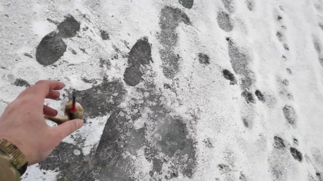 рыбалка на балансир на Упе в Туле смотреть онлайн