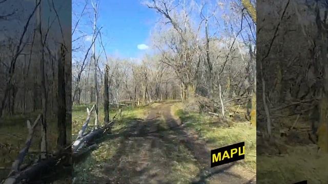 «Питбайк64» открыл свои двери