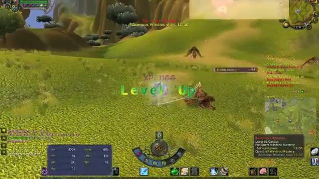 Nü leveling to 65 with addons смотреть онлайн