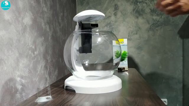 DUMALOQ AKVARIUM VA OLTIN BALIQCHA смотреть онлайн