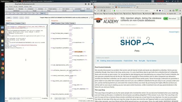 SQL injection attack listing the database contents on non Oracle databases Video solution смотреть онлайн