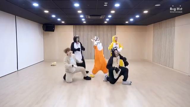 TXT(Tomorrow X Together)Cat & Dog Dance Practice (Animal Ver.)
