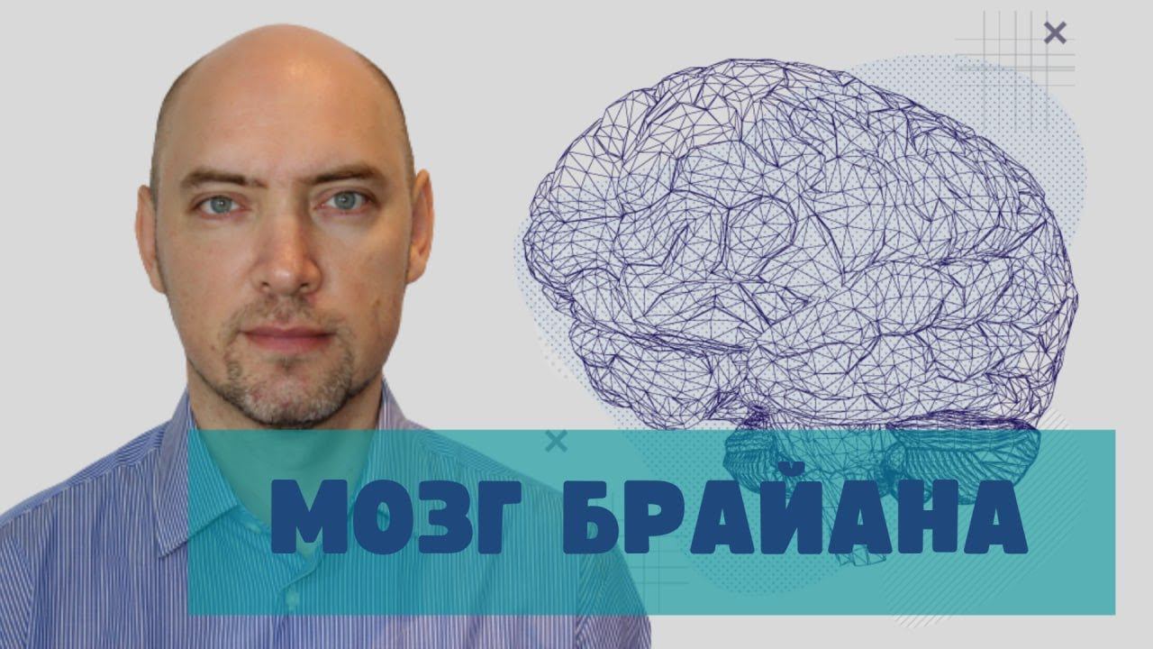 Как устроен мозг Брайана? Душкин объяснит ☝️ смотреть онлайн