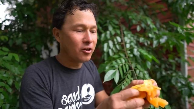 Permaculture Food Forest in Florida Grows Fruits & Perennial Vegetables without Watering смотреть онлайн