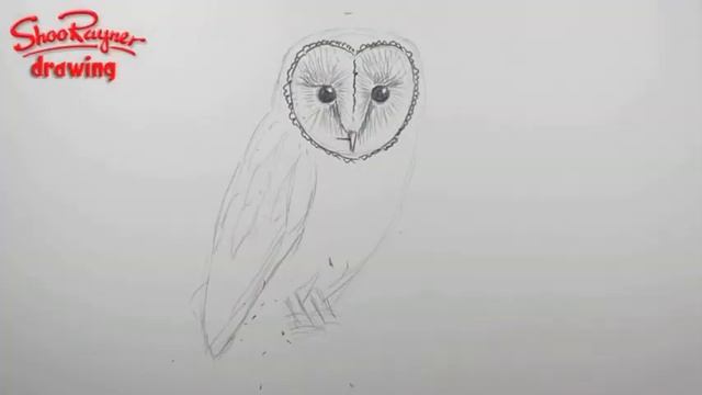 How to draw a Barn Owl - Spoken Tutorial смотреть онлайн