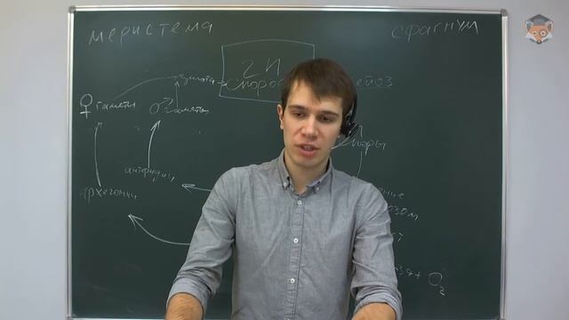 Занятие 21: Систематика и морфология растений [Подготовка к олимпиадам по биологии] смотреть онлайн