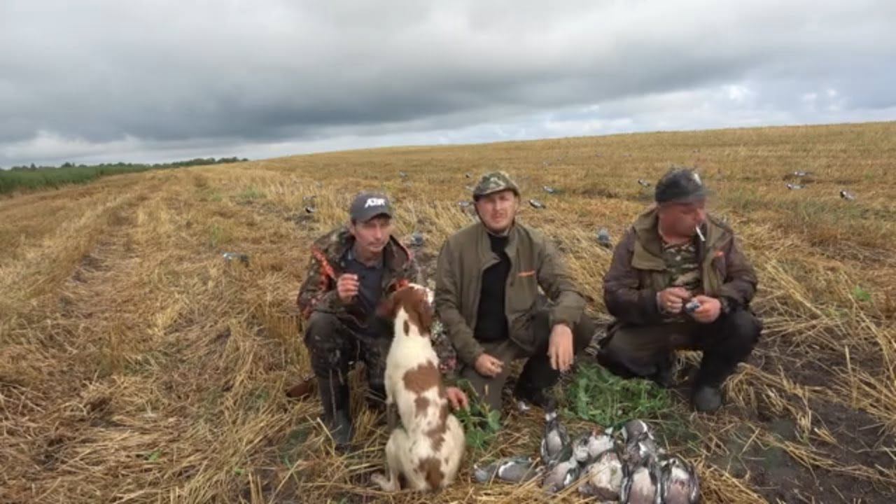Охота на вяхиря в Вологодской области #1 Чистый экспромт смотреть онлайн