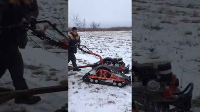 Перевоз сена в прицепе на мотоблоке с гусянками Крутец #гусеницы #гусеницыкрутец #гусеничныйпривод смотреть онлайн