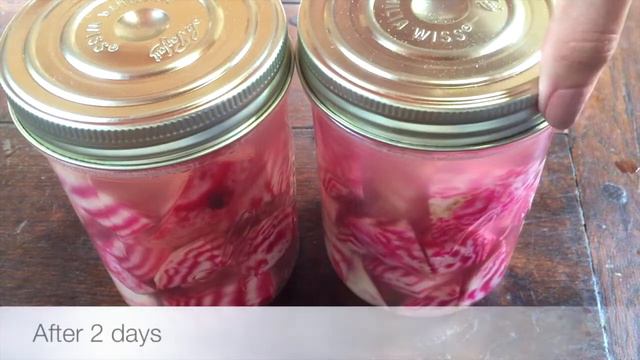Beet Kvass Recipe From Nourishing Traditions - Traditional Fermented Beets Without Sugar Or Vinegar
