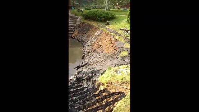 Уборка домашнего пруда. Пруд на даче. Чистка пруда самостоятельно. Формируем берег. смотреть онлайн